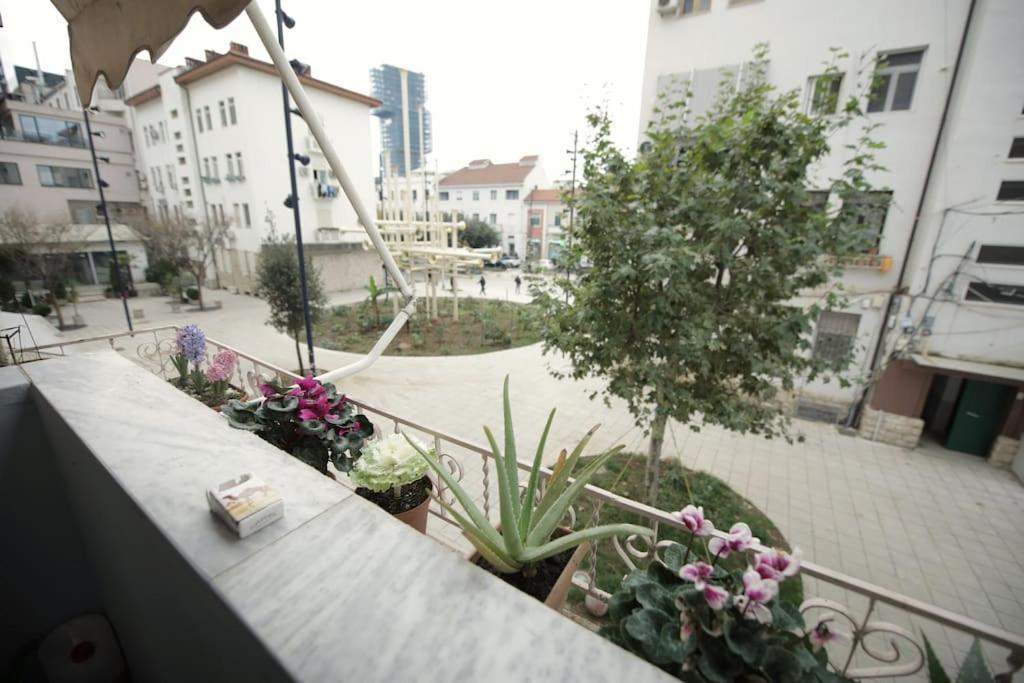 Gjeci's Staycation Appartamento *